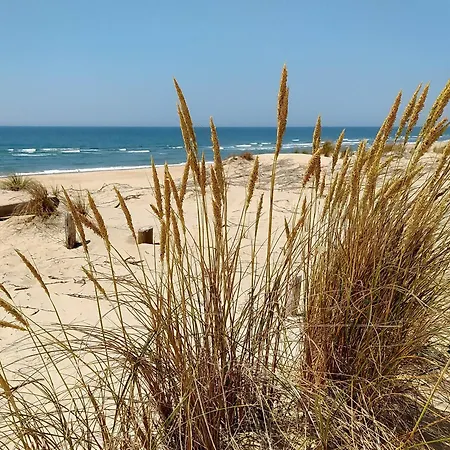 Villa indép. 3 chambres, 7 pers, proche plage, animaux admis, parking - FR-1-705-79 * Les Mathes